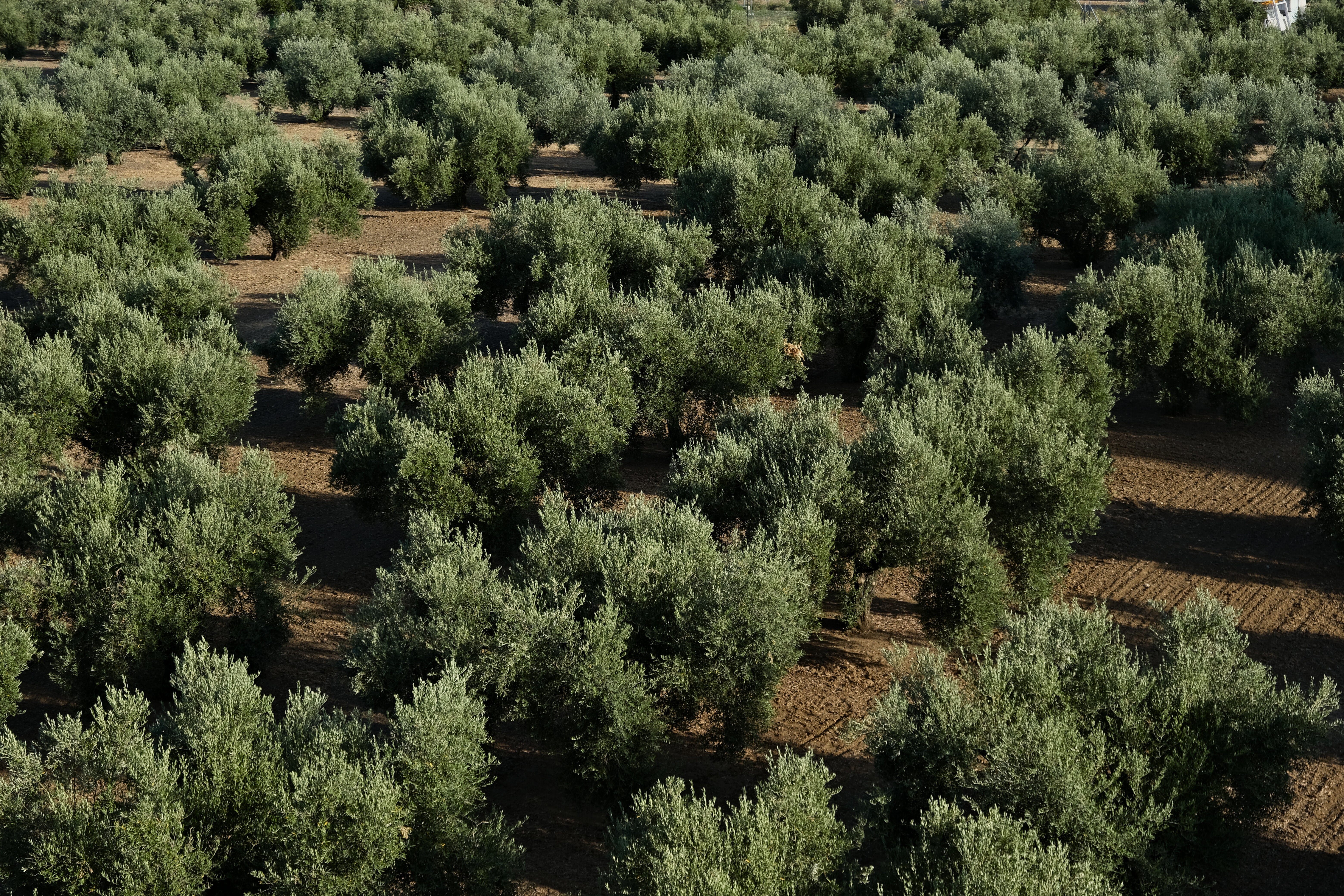 Sourcing and production